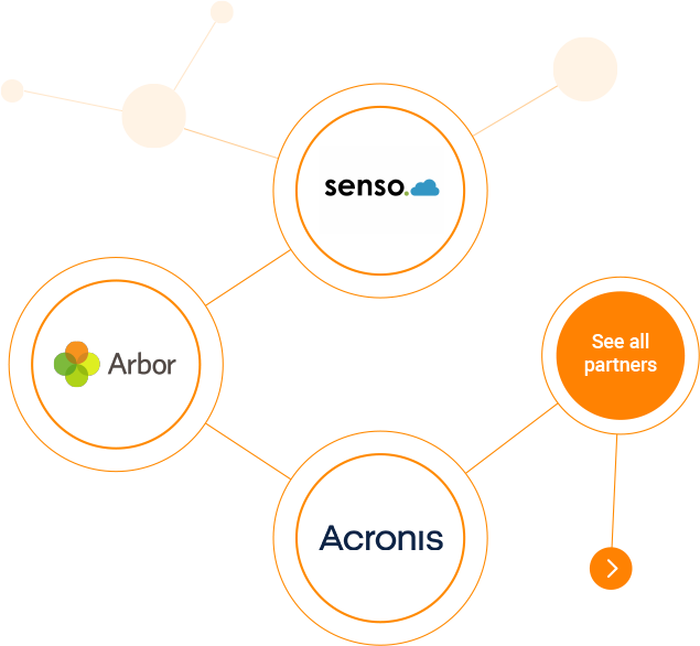 Some of Interm IT partners